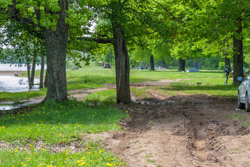 broken dirt road in the forest on a sunny spring day