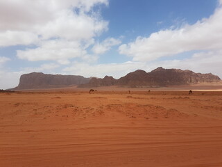Fototapeta na wymiar The endless expanses of the desert landscape of Wadi Rum, Jordan