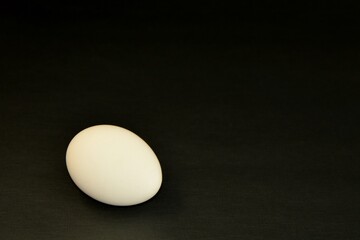 One white egg on black background close-up