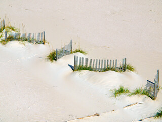 Beach Dune Fences