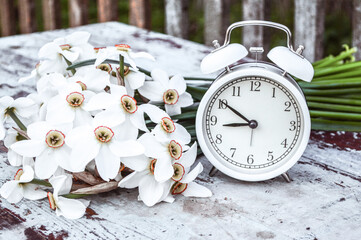 Old clocks and daffodils