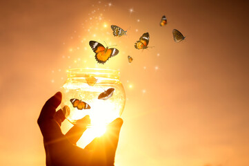 The girl frees the butterfly from the jar, golden blue moment Concept of freedom © sarayut_sy