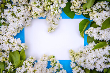 Frame of white lilac branches on a blue background, copy space