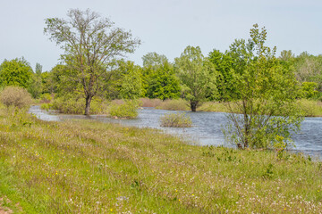 spring flood, flooded meadow and forest