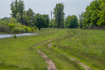 Fototapeta na wymiar winding road in the spring meadow