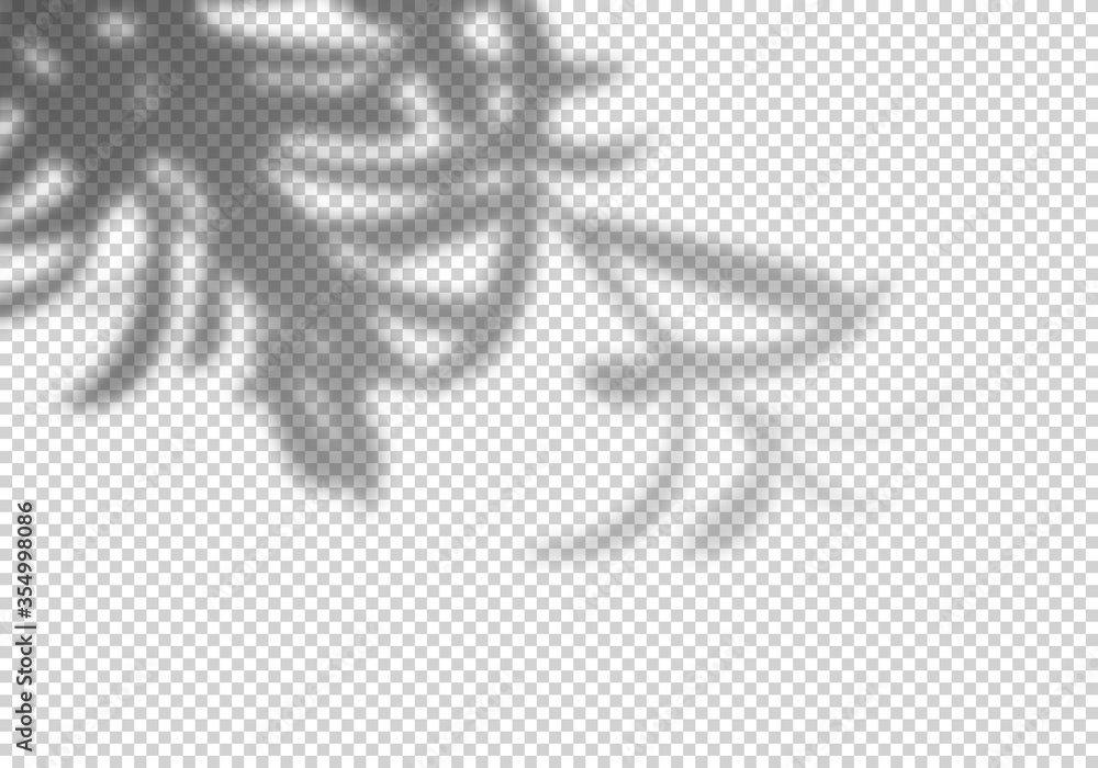 Leinwandbilder transparent vector shadow of branch with leaves. decorative design element for collage and mock up.
