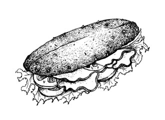 Illustration Hand Drawn Sketch of Delicious Homemade Freshly Baguette Sandwich with Ham, Tomatoes, Lettuce, Cucumber and Cheese Isolated on White Background.
