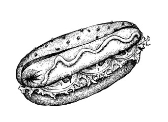 Illustration Hand Drawn Sketch of Delicious Grilled Hot Dog with Mustard and Wheat Bun Isolated on White Background.
