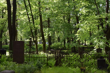 Old overgrown cemetery in Riga, Latvia