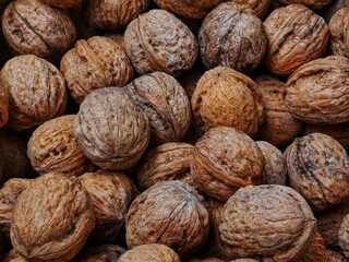walnuts close up