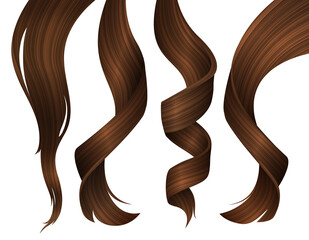 Set of Wavy Strands of Brunette Hair. Vector Realistic 3d Illustration.