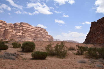 Huge canyon with vegetation on sandy soil in the Wadi Rum Desert, Wadi Rum Desert, Jordan (Natur,...