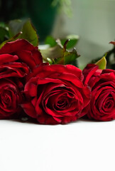 Fototapeta premium Three buds of red roses on a white background. Plenty of room for text.
