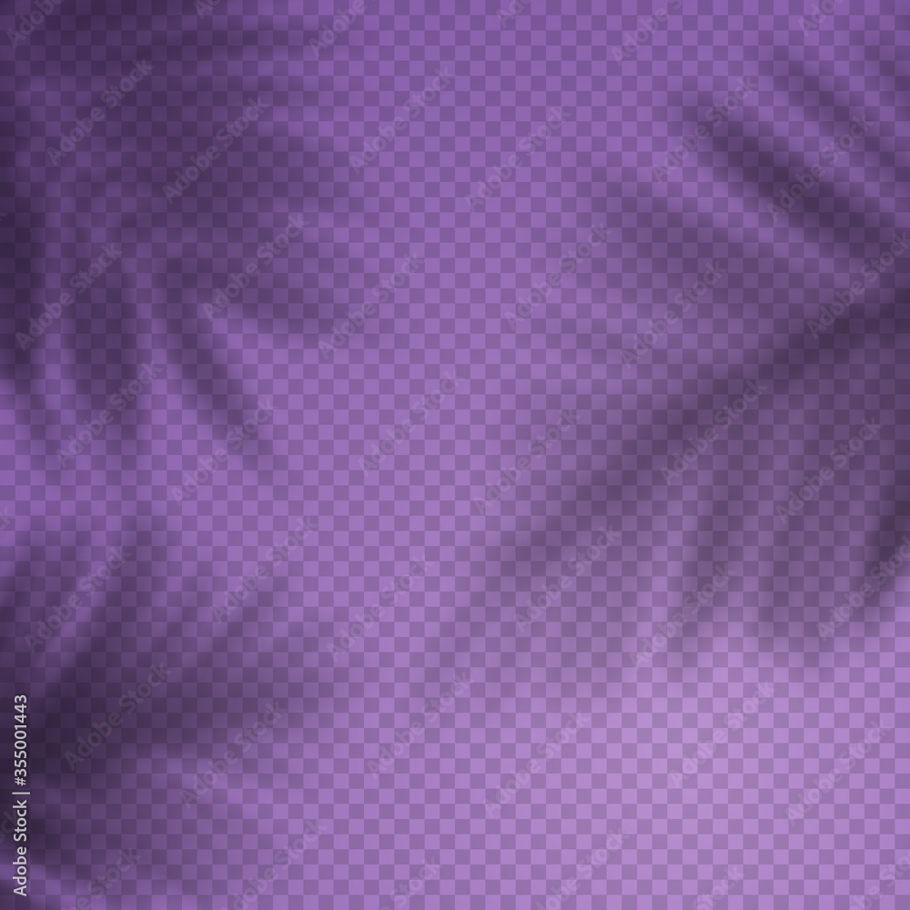 Poster vector background with transparent shadow of tropical palm leaves.