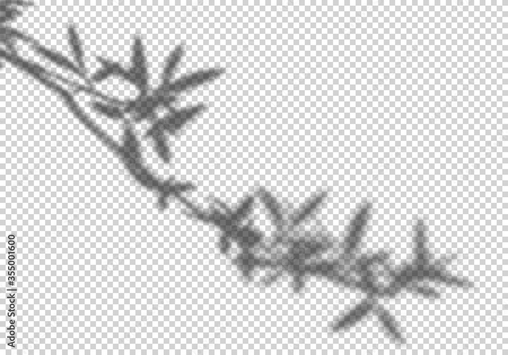 Poster vector transparent shadow of olive tree leaves. decorative design elements for mockups. creative ove
