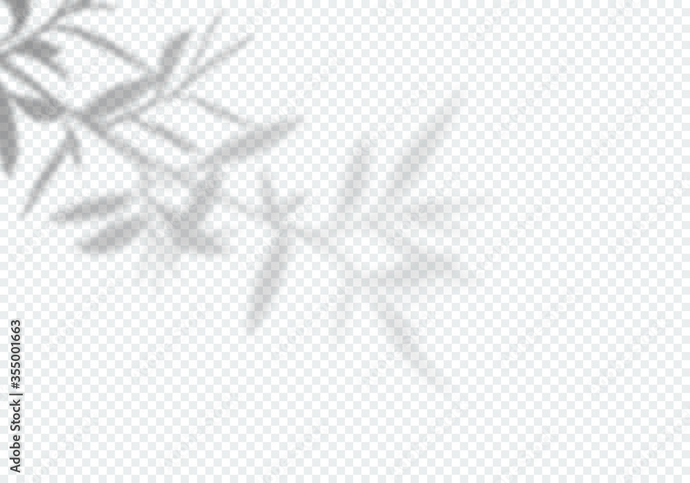 Poster Vector Transparent Shadow of Tree Leaves. Design Element for Presentations and Mockups. Creative Overlay Effect