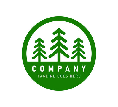spruce coniferous tree icon shape silhouette. Camping nature symbol sign. Vector illustration image. Isolated on white background. Company logo.