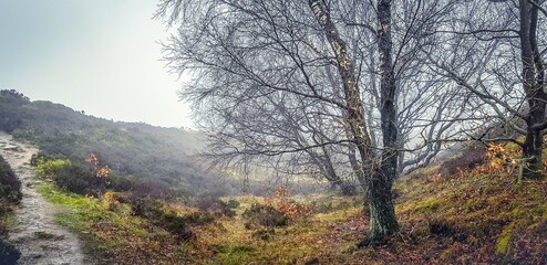 Fototapeta premium autumn in the mountains