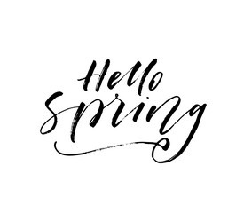 Hello spring card. Hand drawn brush style modern calligraphy. Vector illustration of handwritten lettering. 