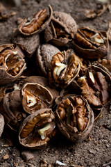 Crushed walnuts on the wooden stump, macro close up top view