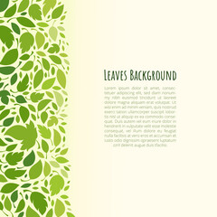 Green leaves border decorative vector design template. Spring, summer concept background