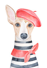 Water color portrait illustration of lovely dog wearing red french beret, classic knotted neck scarf and striped french tee-shirt. Hand painted watercolour sketchy graphic drawing on white background. © Julija