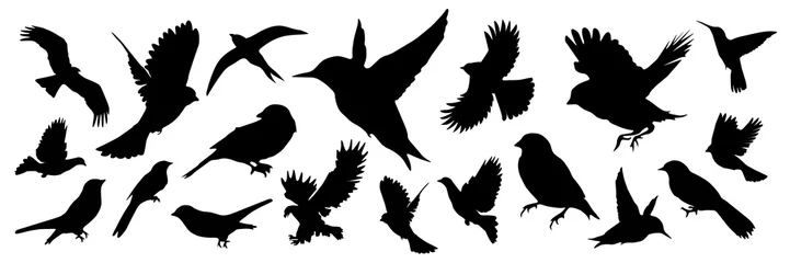 Foto op Canvas Gedetailleerde zwarte silhouetten van verschillende soorten vogels © smotrivnebo