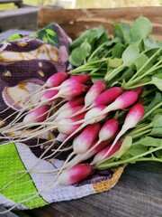 Fresh Radishes on wooden background and kitchen towel