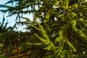 yellow three on sky background