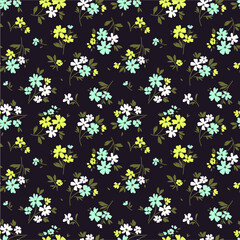 Fototapeta na wymiar Cute floral pattern in the small flower. Ditsy print. Motifs scattered random. Seamless vector texture. Elegant template for fashion prints. Printing with small blue flowers. Dark background.