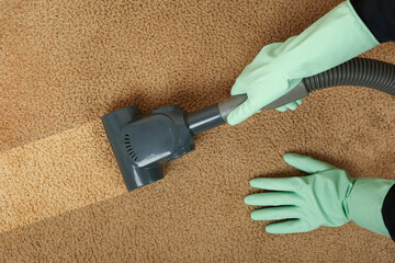 cleaning the carpet with a vacuum cleaner. a gloved hand cleans the carpet