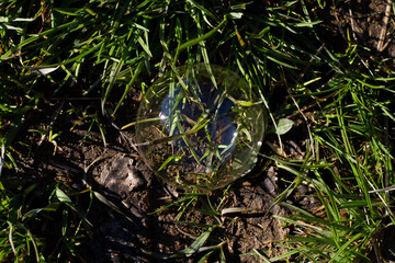 soap bubbles on grass close-up lit by the sun