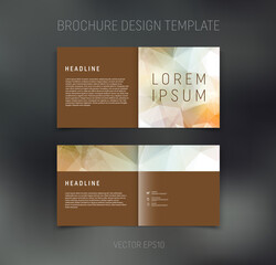 Vector brochure, booklet, presentation design template with geometric low poly  abstract background