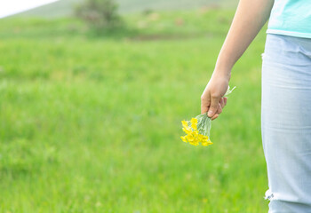 woman hand yellow flowers in nature