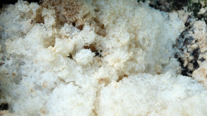 Concentrated foam in stream in nature.
