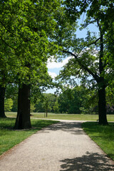 A pathway in the "Grosser Garten" in Dresden. It is a large public park in the city.