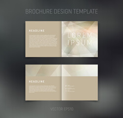 Vector brochure, booklet, presentation design template with beige geometric low poly abstract background