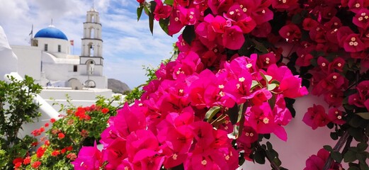 pink and white