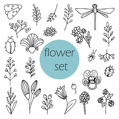 set of floral elements black and white twigs of a berry insects beetle ants ladybug moth butterfly flowers violet dragonfly vector hand-drawn drawing Stock Illustration on a white isolated background