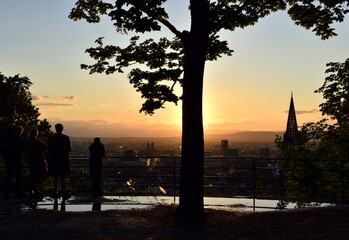 Blick auf Freiburg am Abend