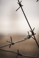 barbed wire on a blurry background in a military unit