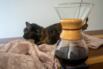 Fototapeta na wymiar Coffee method and cat on a sunday morning