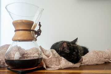 Coffee method and cat on a sunday morning