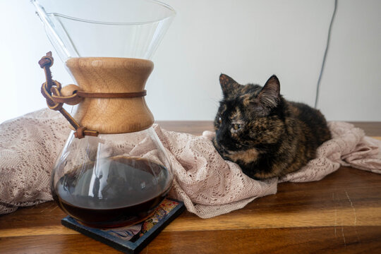 Coffee method and cat on a sunday morning