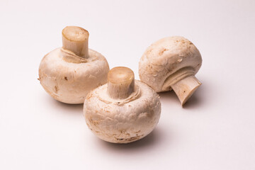 Several natural organic mushrooms champignons