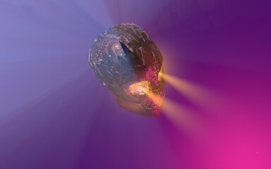 scull universal