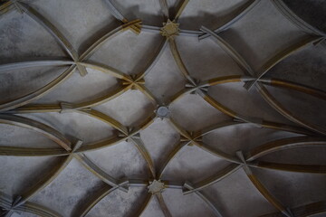 Ceiling structure of a hall belonging to Prague Castle, Czech Republic