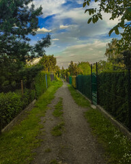 Droga między ogródkami działkowymi wieczorową porą