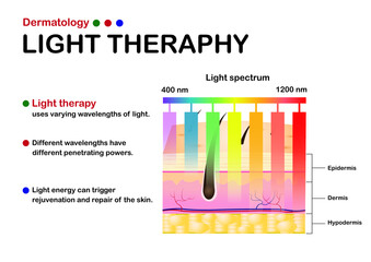 Dermatology infographic show concept of light therapy on skin with different length of light 