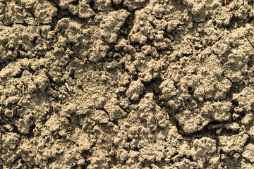 Textured soil as background. Natural pattern, top view